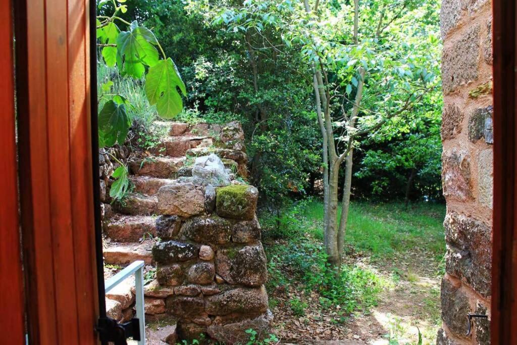Belle Et Grande Maison Ardechoise Payzac  Exterior foto